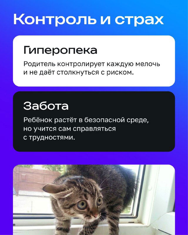 Слайд «Контроль и страх»: объяснение, как излишний контроль мешает столкнуться с риском; фото котёнка у окна подчёркивает тему наблюдения