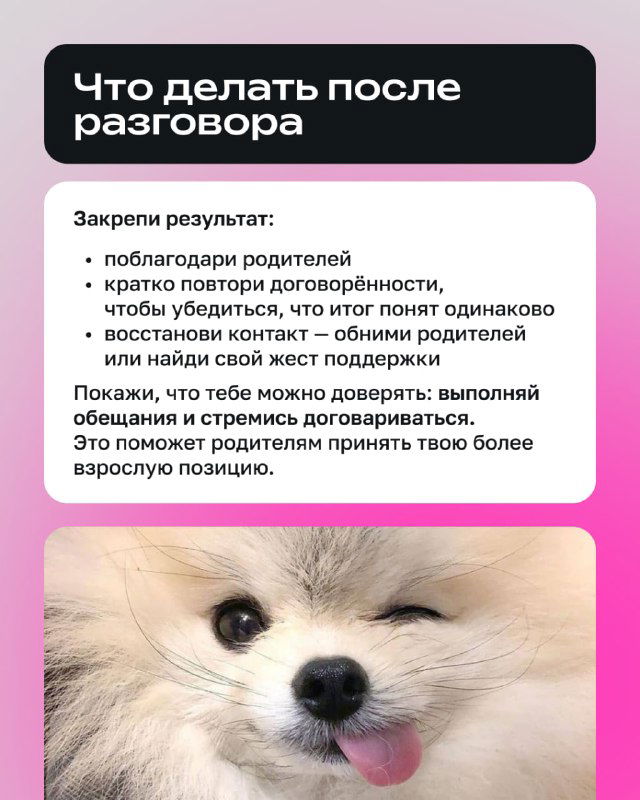 Слайд «Что делать после разговора» с шагами по закреплению результата и восстановлению контакта; изображена улыбающаяся собачка как символ примирения.