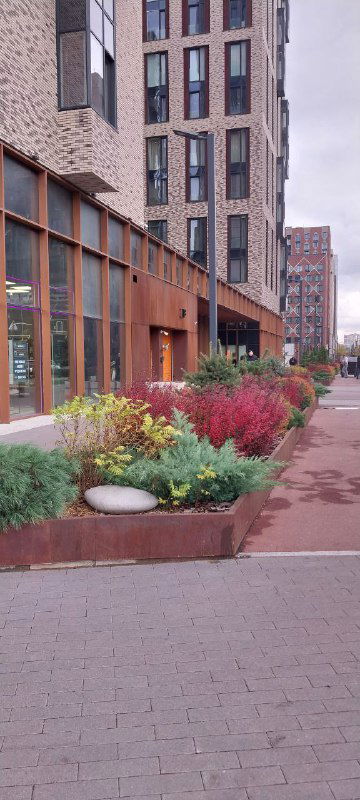 Входная зона с цветочными клумбами у фасада жилого комплекса ЗИЛАРТ, пешеходная аллея и декоративные элементы в городской осени.
