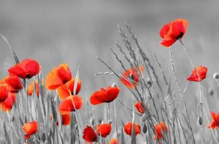 Самый честный аудит роли HR