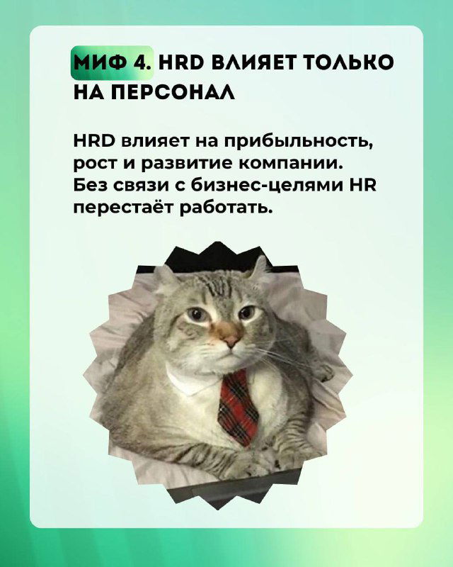 Слайд с котом в галстуке на рамке карточки; подпись о влиянии HRD только на персонал, часть серии из пяти карточек на зелёном фоне.