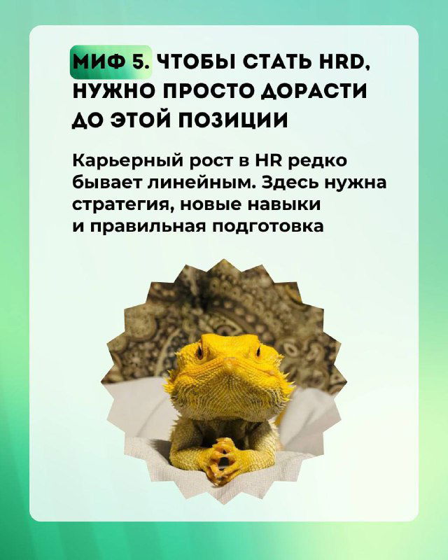 Слайд «Миф 5» с изображением ящерицы на декоративном фоне; завершающая карточка серии о карьерном росте и подготовке в HR‑SREDA.