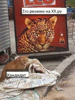 Коллеги, знакомо? У HR в силу скромности