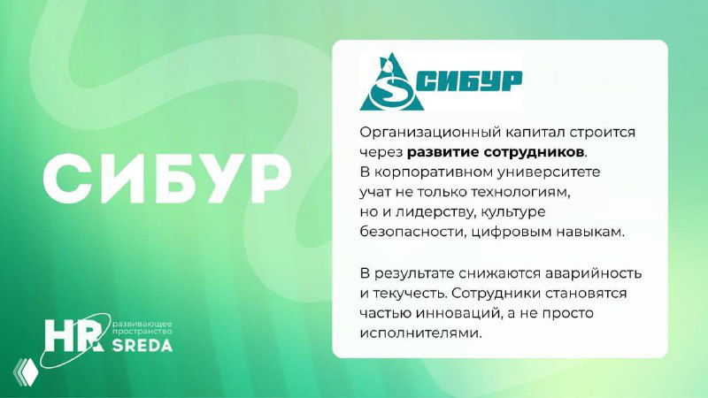 Организационный капитал: влияние среды на эффективность