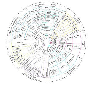 Круговая майнд‑карта карьеры в IT с разделами (InfoSec, DevOps, Data и др.), показывающая направления и возможные пути развития.