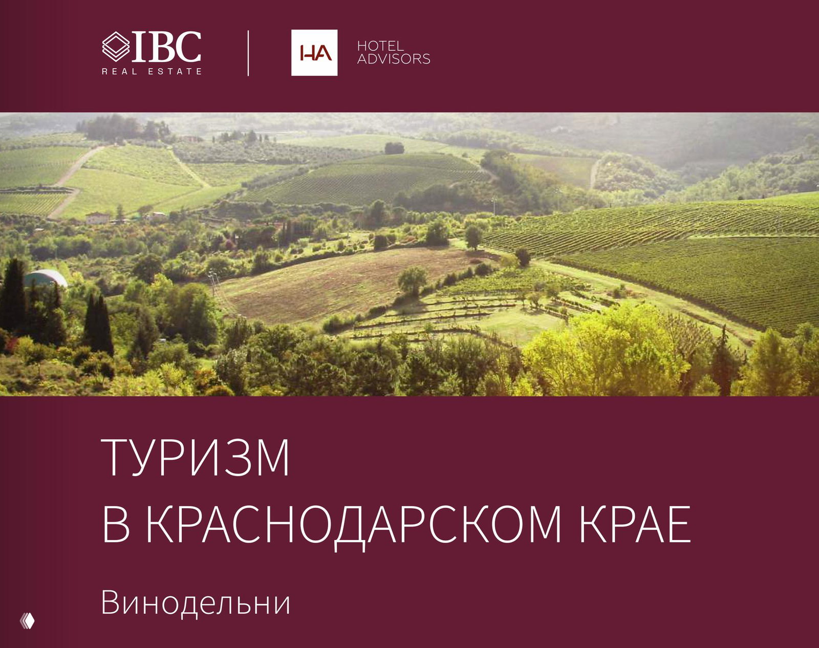 Панорамный вид виноградников и холмов Краснодарского края; сверху логотипы IBC Real Estate и Hotel Advisors и заголовок исследования.