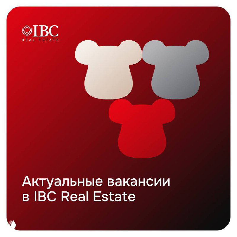 Продолжаем искать таланты в IBC Real Estate