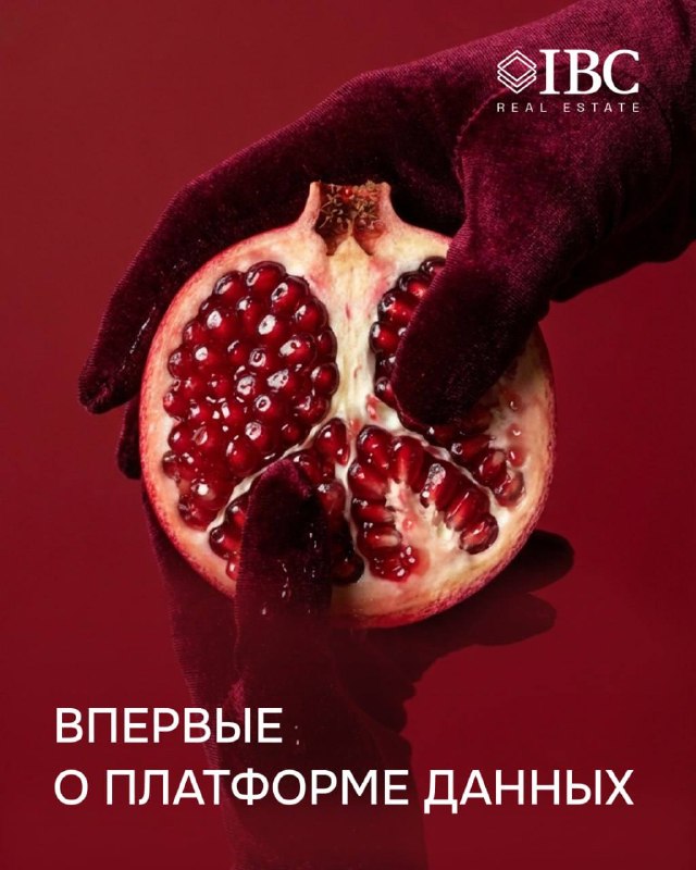 IBC: платформа данных рынка коммерческой недвижимости