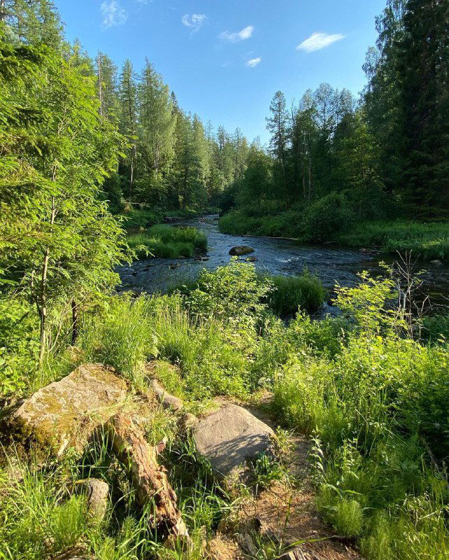 Идём гулять на экотропы