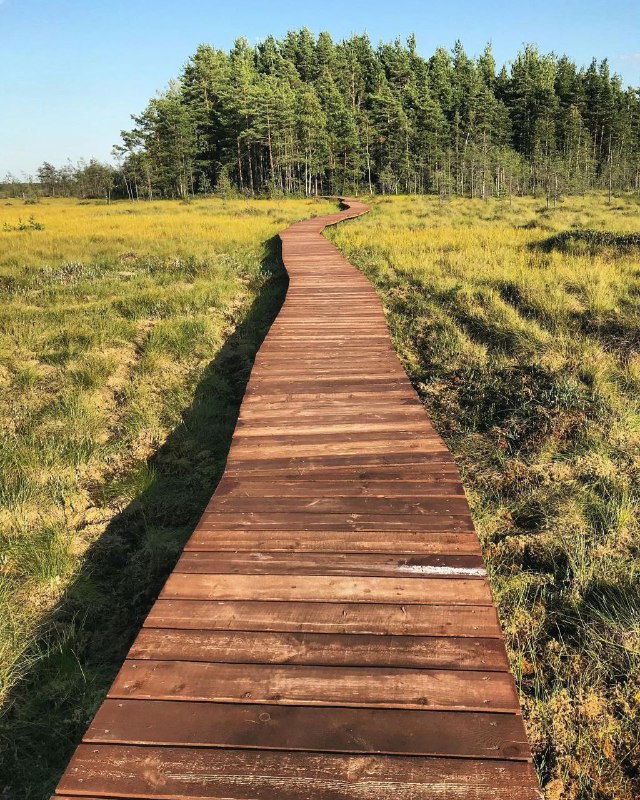 Длинный деревянный настил через болотистую равнину: вид экотропы, ведущей по открытому пространству к лесистому холму и зонам для прогулок.