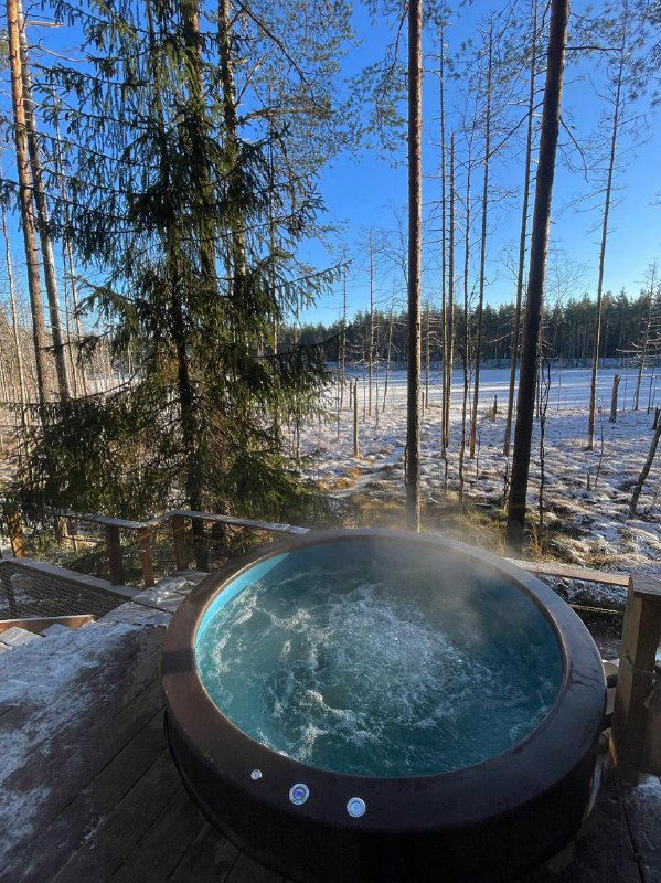 Наружная джакузи с паром на фоне замёрзшего озера и хвойного леса: горячая ванна на свежем воздухе в зимний день возле Петербурга.