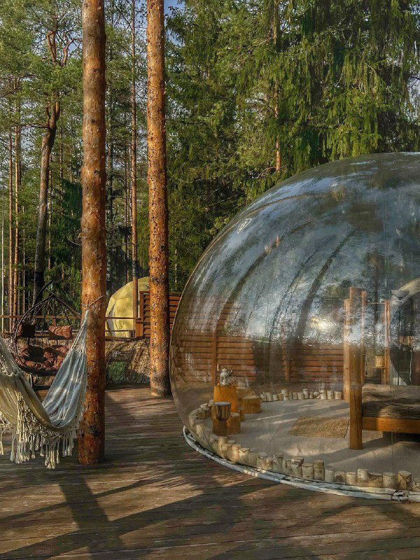 Прозрачный надувной купол-глэмпинг на деревянном настиле среди соснового леса, рядом висит гамак и располагается уличная зона отдыха.