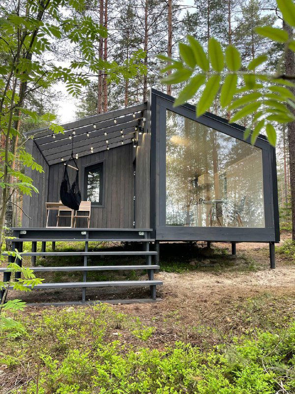 Современный чёрный кубический коттедж на приподнятом фундаменте с огромным панорамным окном, окружённый соснами и древесной подстилкой.