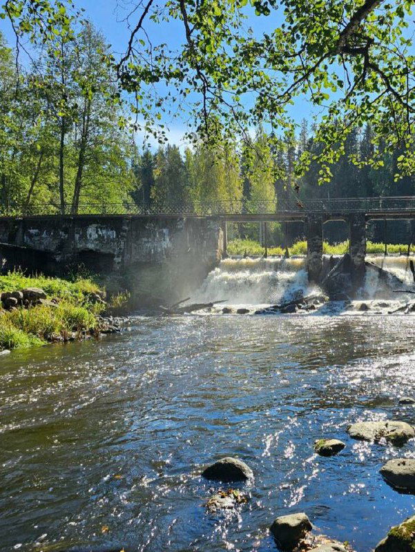 Идём гулять по экотропам