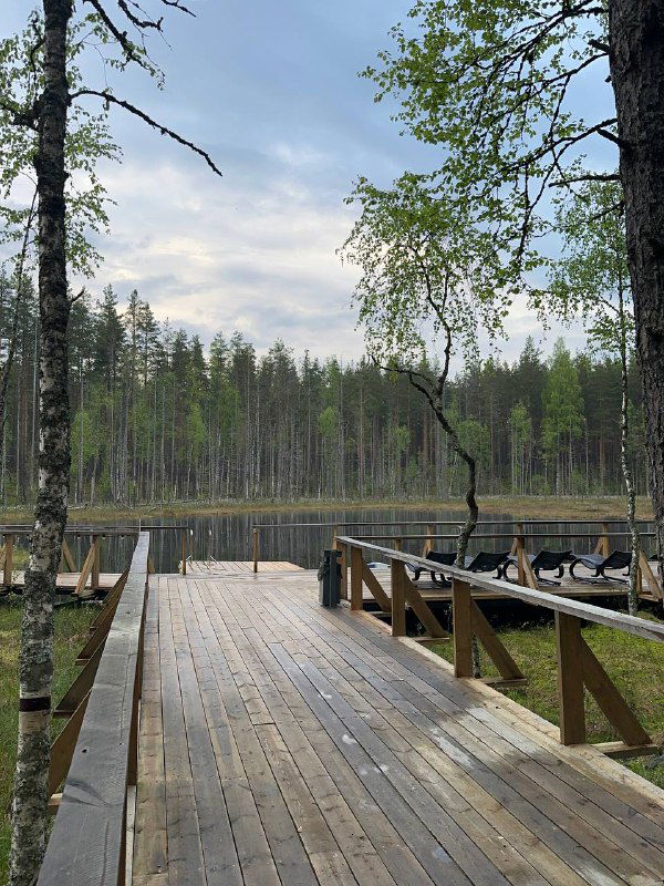 Деревянный причал и спокойное озеро в вечернем свете, берег окружён хвойным лесом — место для прогулок и отдыха у воды в Mystic Hills.