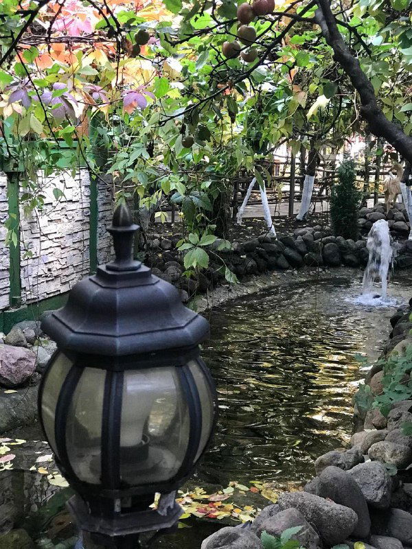 Маленький садовый пруд с фонарём и фонтанчиком, окружённый камнями и листвой — уютный зелёный уголок во дворе ресторана.