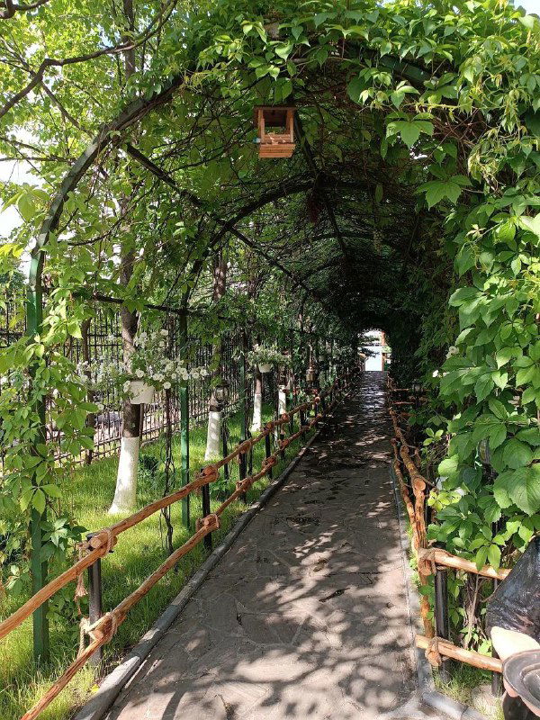 Тонкая пешеходная дорожка под аркой из густой зелёной листвы — тёмный прохладный проход с перспективой на внутренний двор.