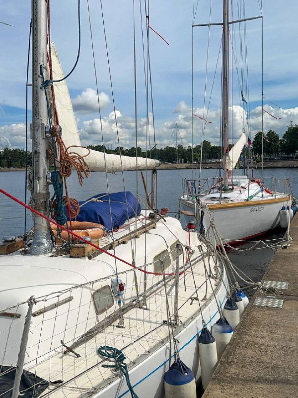 Шлюпки пришвартованы у причала перед тренировкой: видны канаты, буйки и настил причала, подготовка к выходу в залив.