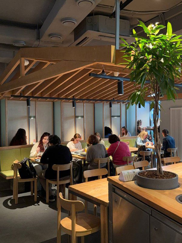 Широкий план зала Кореана Light с декоративной деревянной конструкцией над столами, растением и посетителями за длинным столом