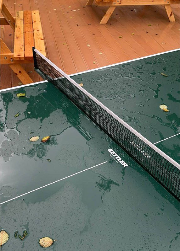 Настольный теннис на открытой площадке глэмпинга: стол со сеткой и осевшими листьями после дождя, подчёркивающий активный досуг на территории.