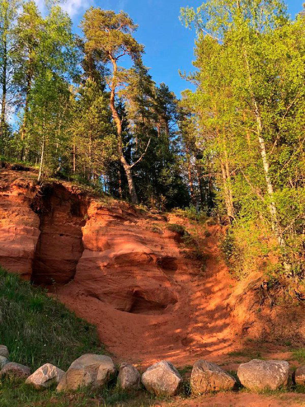 Красные песчаниковые обрывы Хотнежи, похожие на марсианский ландшафт: слоистые терракотовые и алые стенки среди зелёной растительности Ленинградской области.