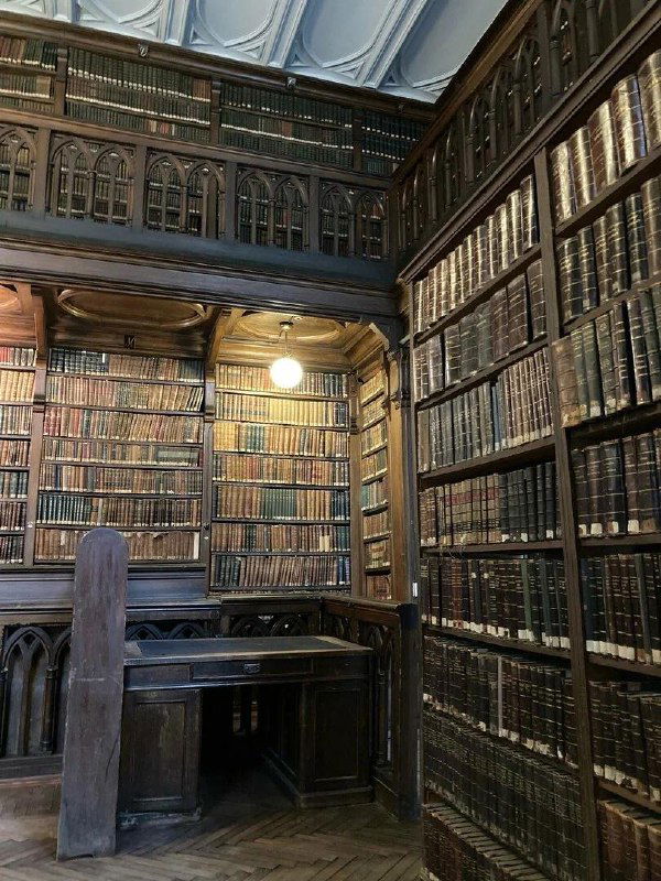 Идём в библиотеку