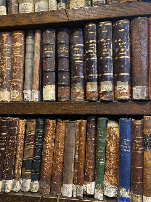 Ряд старых переплётных томов на полке: потрёпанные корешки, шильдики и маркировка — коллекция книг XIX–XX веков в библиотеке.