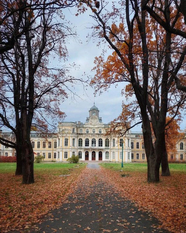 Вид по аллее на главный вход усадьбы Знаменка: дорожка под опадающими листьями и симметричный силуэт здания в конце перспективы.