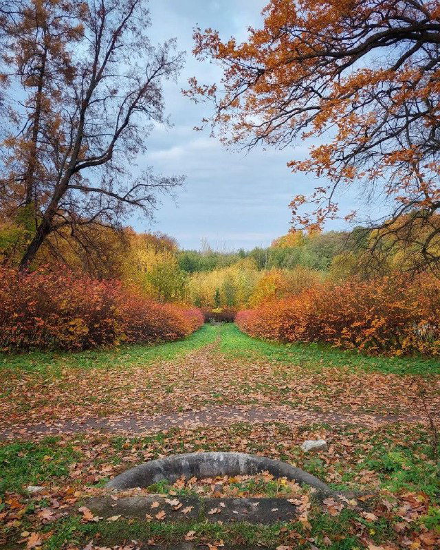 Парк у усадьбы Знаменка осенью: тропинка, разноцветные кусты и деревья, ведущие взгляд в глубь зелёно-охристого ландшафта.
