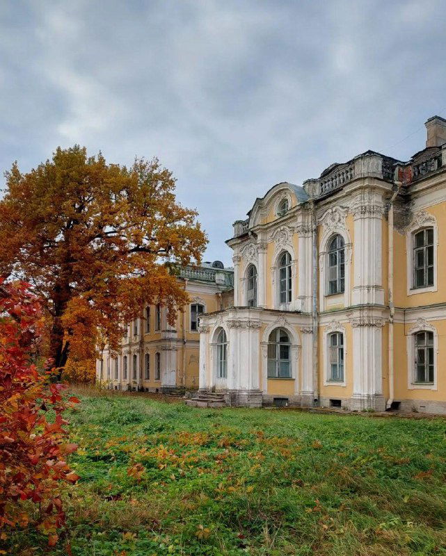 Угол фасада усадьбы Знаменка с колоннами и эркерами, на переднем плане зелёная лужайка и осенние акации у стены здания.