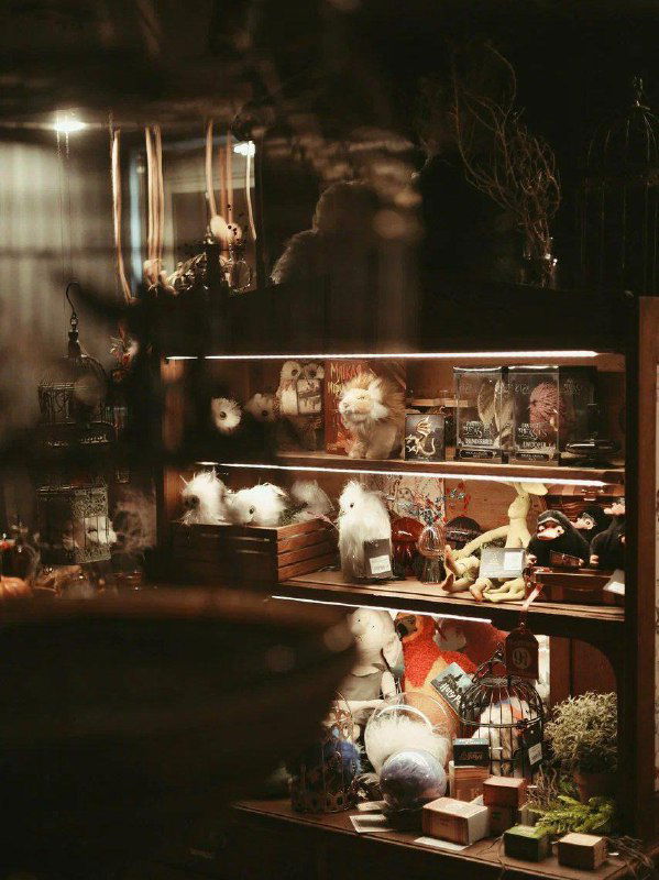 Витрина с тематическими сувенирами: игрушки, миниатюрные предметы декора и реквизит, в том числе фигурки и мандрагоры в оформлении магазина.