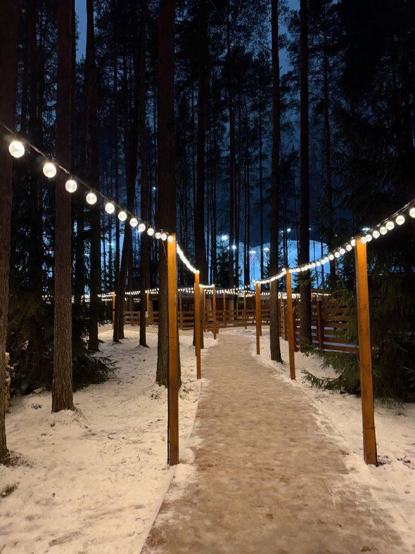 Заснеженная аллея в сосновом лесу парка вечером: дорожка, деревянные опоры и гирлянды светящихся фонариков создают атмосферу зимней прогулки.
