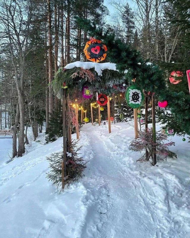 Украшенная арка и освещённая тропа в экопарке «Вереск», зимние гирлянды и снежная дорожка среди сосен создают праздничную атмосферу для прогулок.
