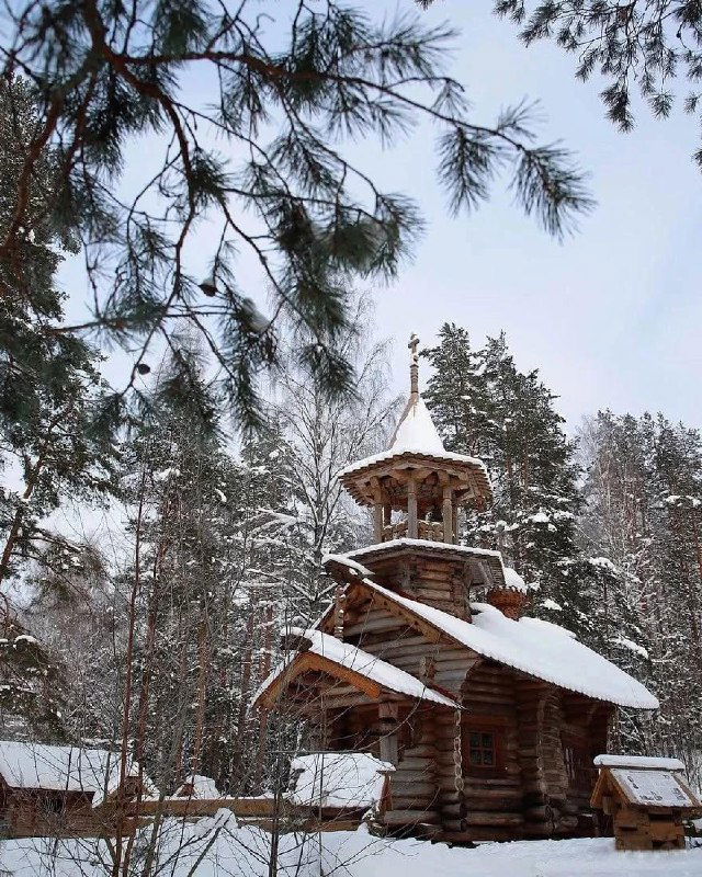 Традиционная деревянная постройка или часовня в экопарке «Вереск», покрытая снегом и расположенная на фоне высоких сосен и спокойного зимнего неба.