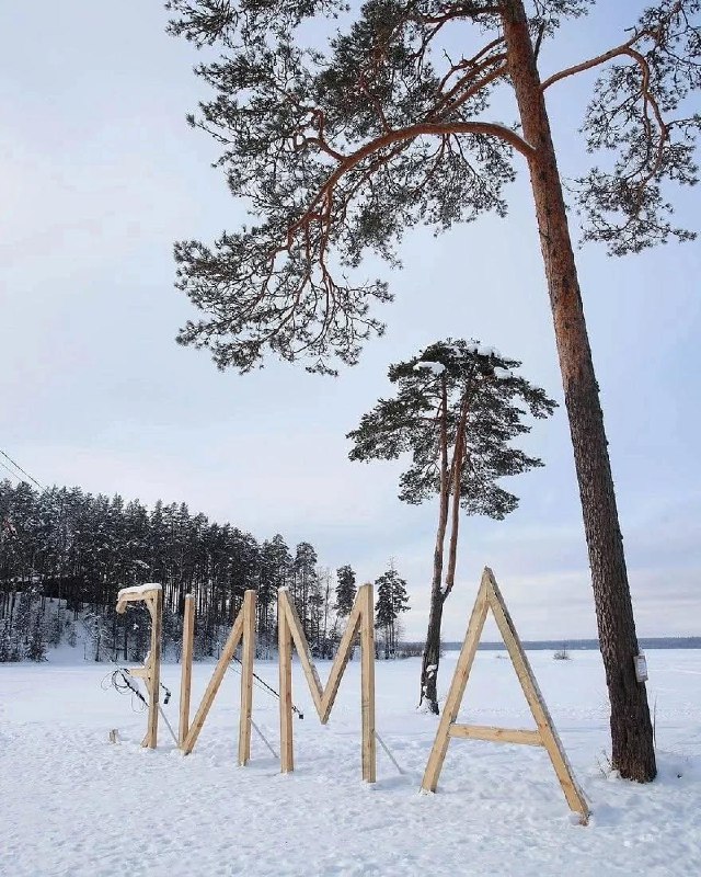 Берег у озера в экопарке «Вереск» с деревянными инсталляциями и высокими соснами на заснеженном фоне, вид на замёрзшее озеро и береговую линию.