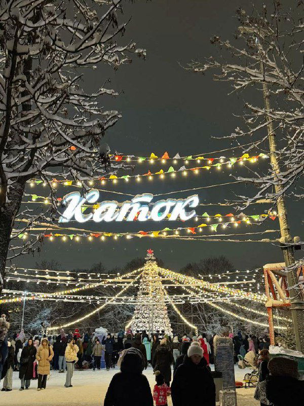 Идём на каток