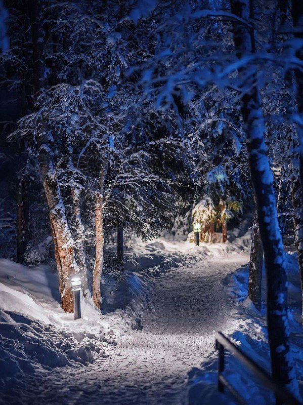 Снежная тропа в лесу рядом с Рускеальским парком, деревья в снегу и слабое фонарное освещение вдоль дорожки.