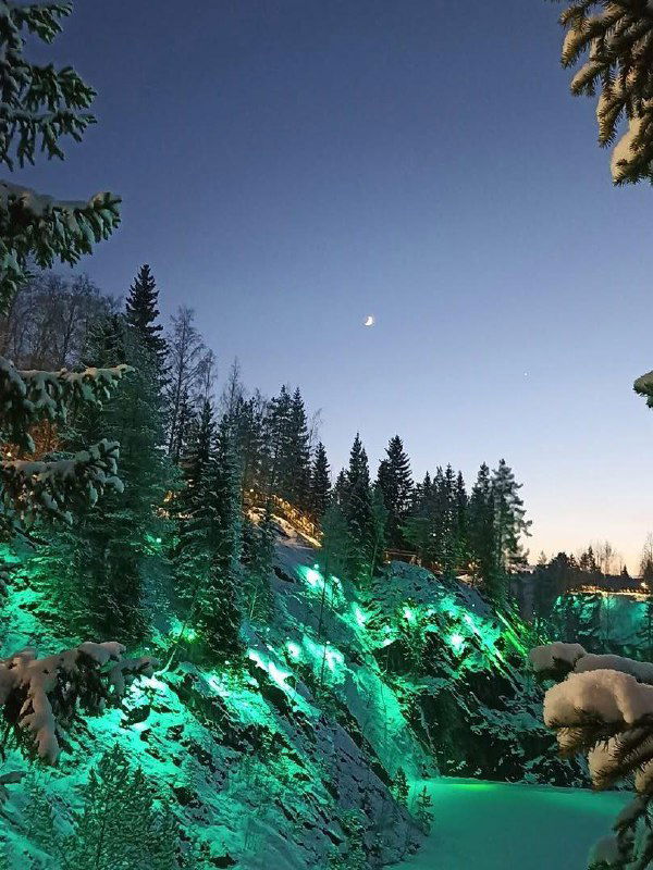 Крутой скалистый берег карьера Рускеалы при сумерках с зелёной подсветкой и елями на фоне неба и луны.