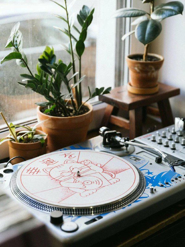 Виниловый проигрыватель у окна: пластинка на вертушке, картонные обложки рядом и комнатные растения на подоконнике.