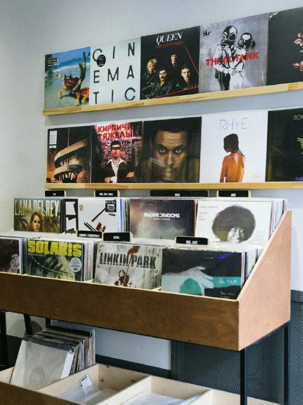 Ряд полок и лотков с виниловыми пластинками в магазине: разнообразные жанры и аккуратно выставленные обложки.