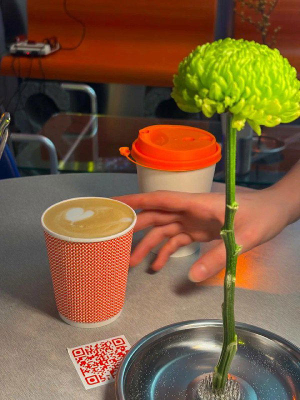 Два бумажных стаканчика кофе на столе рядом с зелёным цветком в вазе и QR-кодом для оплаты — деталь кофейной зоны в кинотеатре-кафе.