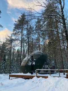 Зимний лес с домиком-глэмпингом на деревянной платформе среди сосен, снег на земле — место для уединённого отдыха.