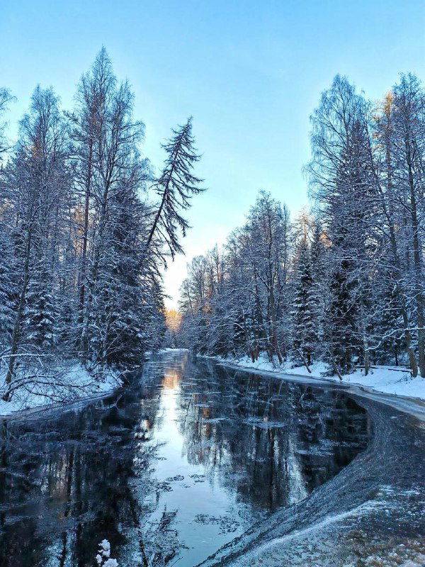 Идём в зимнюю сказку