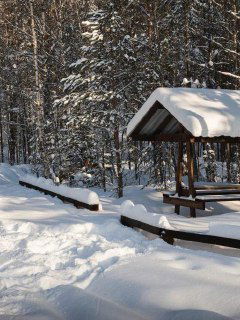 Заснеженная поляна с деревянной беседкой и дорожками в лесу: укрытые снегом лавочки и тропы для прогулок в природном заказнике.