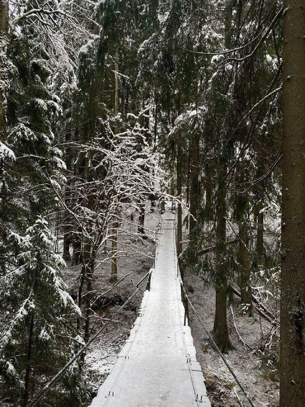 Идём в Нарнию