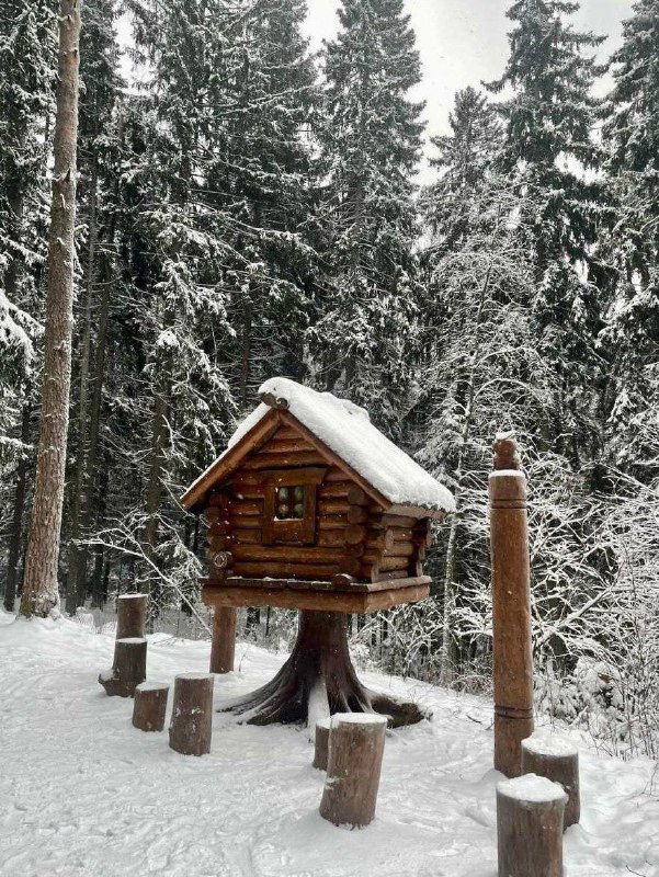 Декоративный деревянный домик на высокой опоре и окружение из заснеженных елей и столбов, полоса тропы в глубине леса — уютный элемент экотропы в снегу.