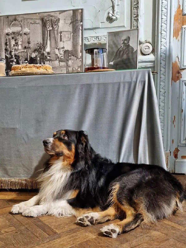 Идём в Дом Бака