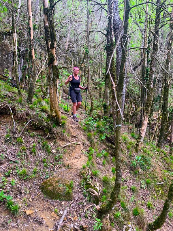 Портрет путешественницы на краю скального уступа с видом на глубокое зелёное ущелье и тянущуюся внизу реку Курджипс под ногами.