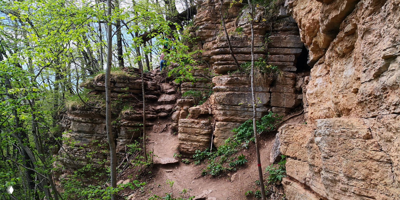 Узкий участок тропы между породами: натоптанный путь и скальные уступы, окружённые свежей весенней листвой на подходе к Орлиной полке.