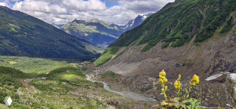 Долина и морена у подножия ледника: каменистая терраса, цветущие полевые растения и вдалеке горные хребты над зелёной долиной